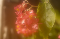 モヤモヤしてるのは、レンズのくもりｗ