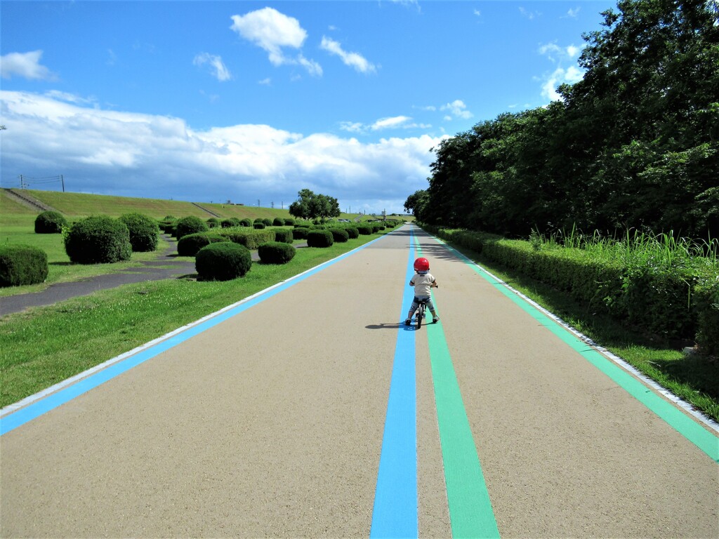 地平線まで。