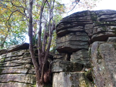 野呂山古代遺跡