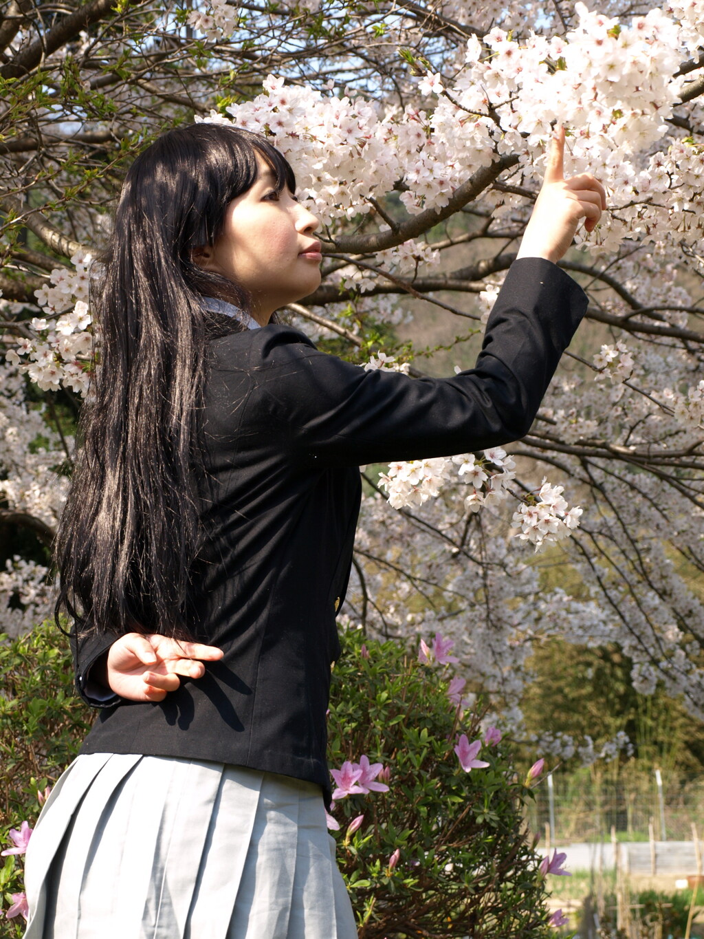 純情・女子高生☆島根編Ⅳ