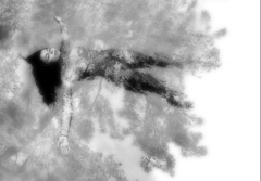 蔵出し・光と陰13