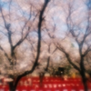 春色彩☆フィルム時代Ⅷ