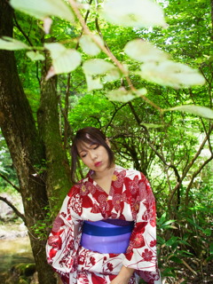 出没☆み～Ⅴ