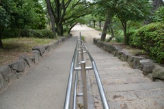 立派な手摺り①