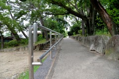 立派な手摺り②
