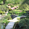 楽園への架け橋