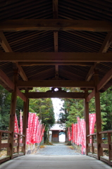 悟りの先