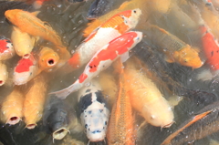 気持ちそれぞれ