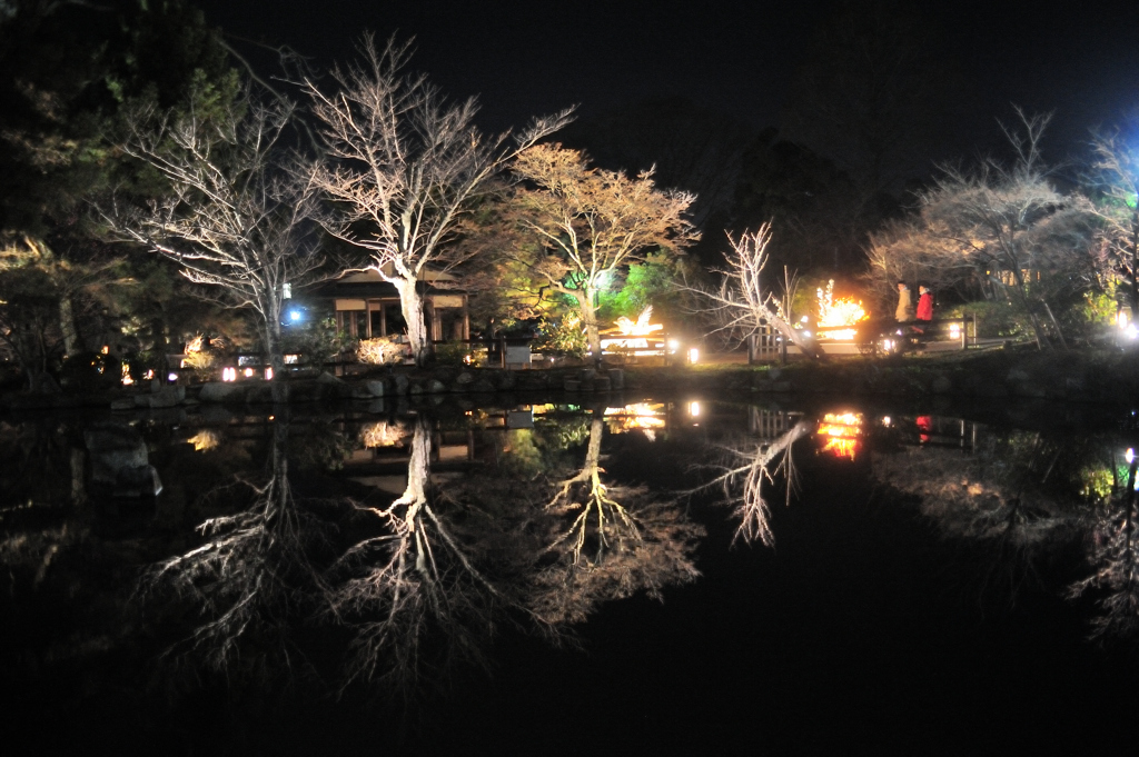 京都東山花灯絽　円山公園