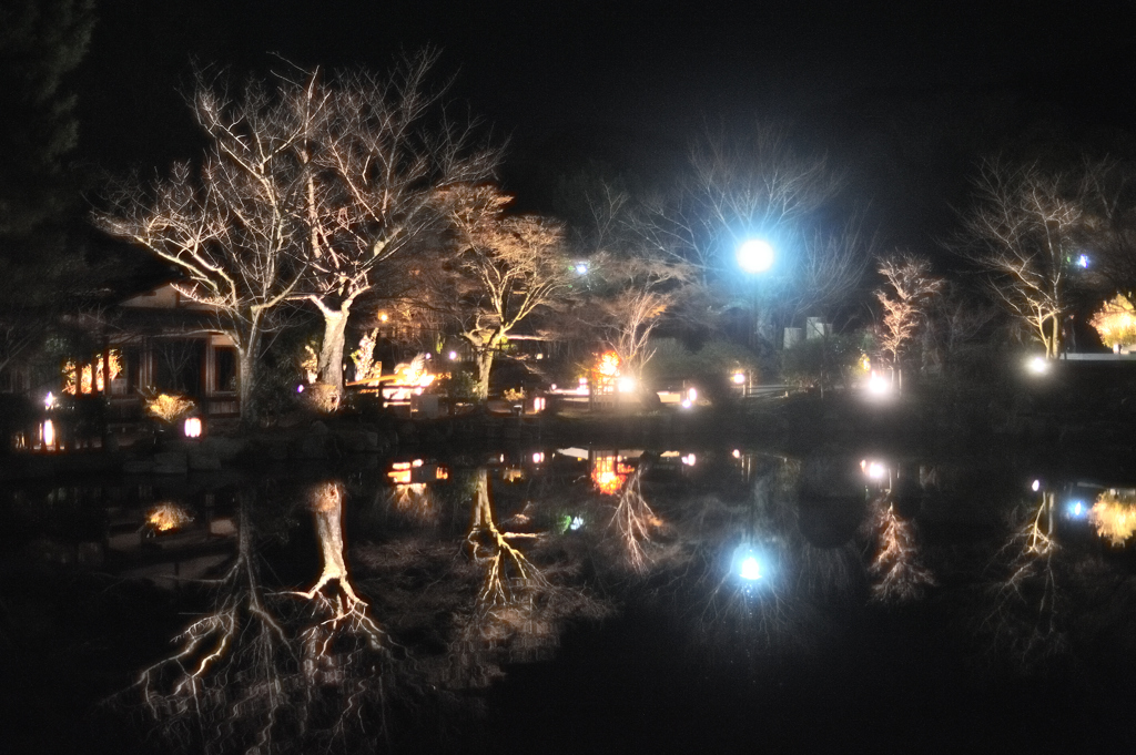 京都東山花灯絽　円山公園