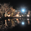 京都東山花灯絽　円山公園