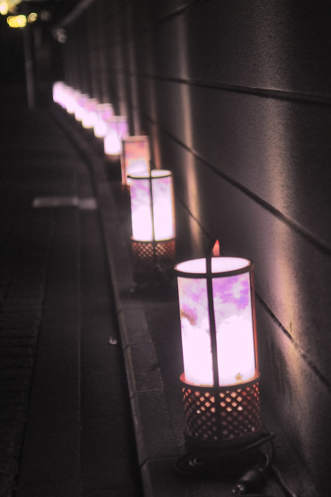 京都東山花灯絽