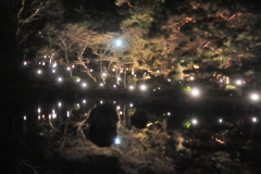 京都東山花灯絽　円山公園