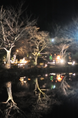 京都東山花灯絽　円山公園