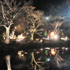 京都東山花灯絽　円山公園