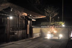 京都東山花灯絽