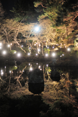京都東山花灯絽　円山公園