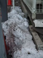 スナップ 1002