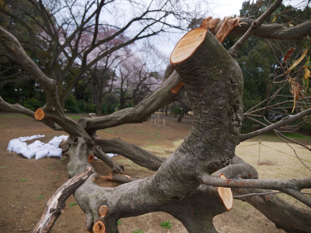 pana  12-35mm F2.8 sample 001