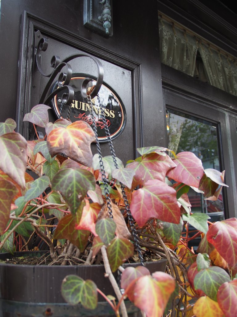 tam 14-150 sample 020