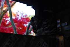 スナップ 3660
