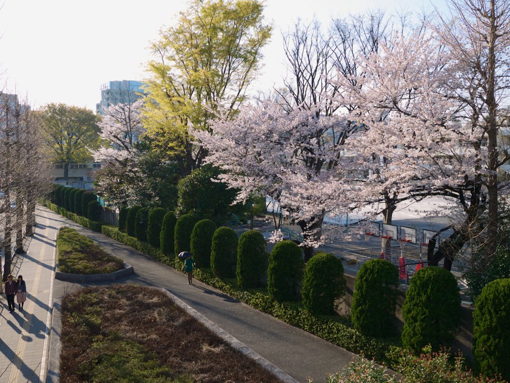 pana  12-35mm F2.8 sample 012
