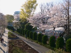 pana  12-35mm F2.8 sample 012