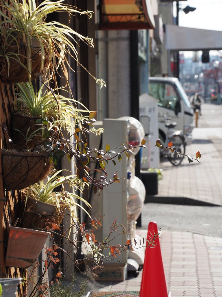 tam 14-150 sample 032