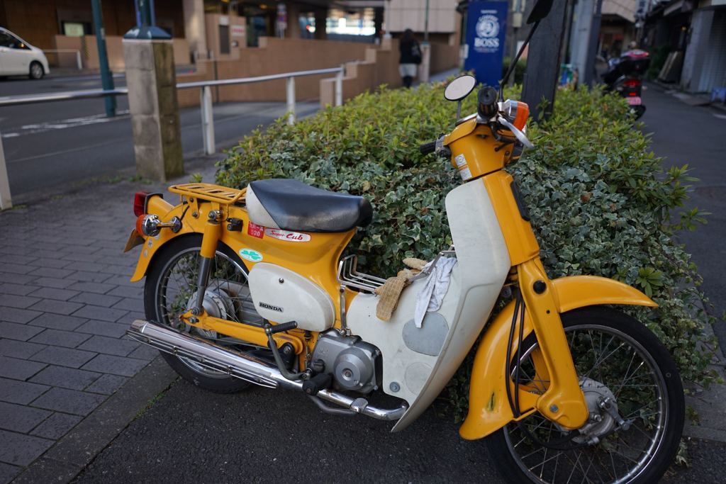 スナップ 1236