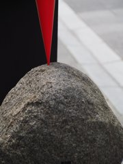 スナップ 195