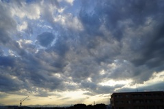 武蔵野　空