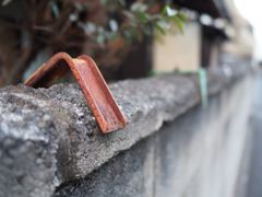 スナップ 962