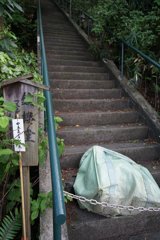 スナップ 2073
