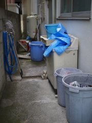 pana leica 25mm F1.4 sample 019