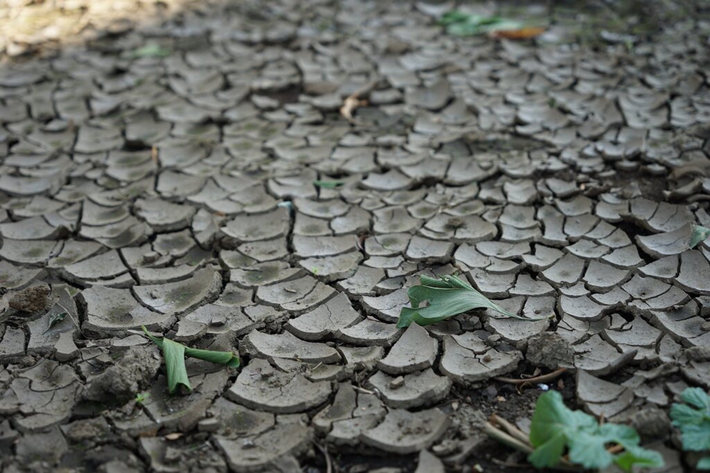 crack （スナップ 2943）