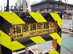 tam 14-150 sample 040