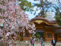 pana  12-35mm F2.8 sample 004