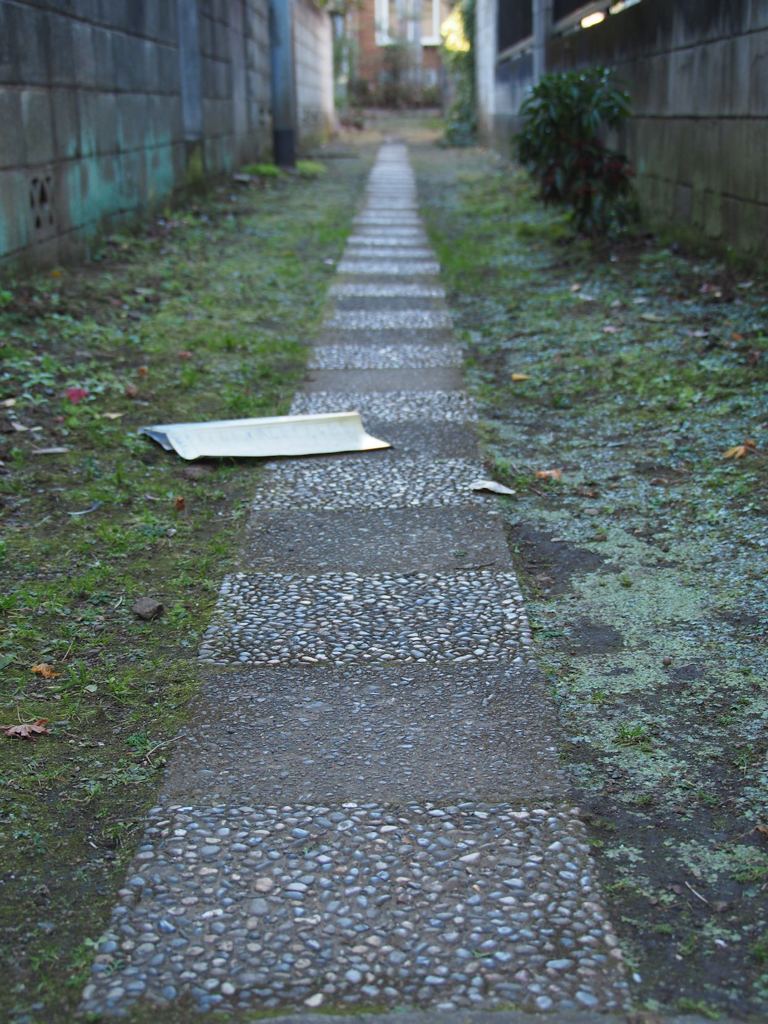 スナップ 696