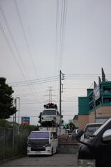 スナップ 3599