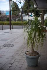 スナップ 1421