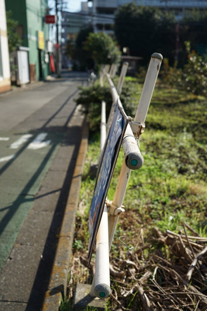 スナップ 2944
