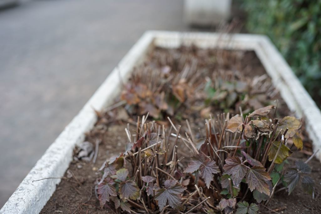 スナップ 1332 F2.8程度