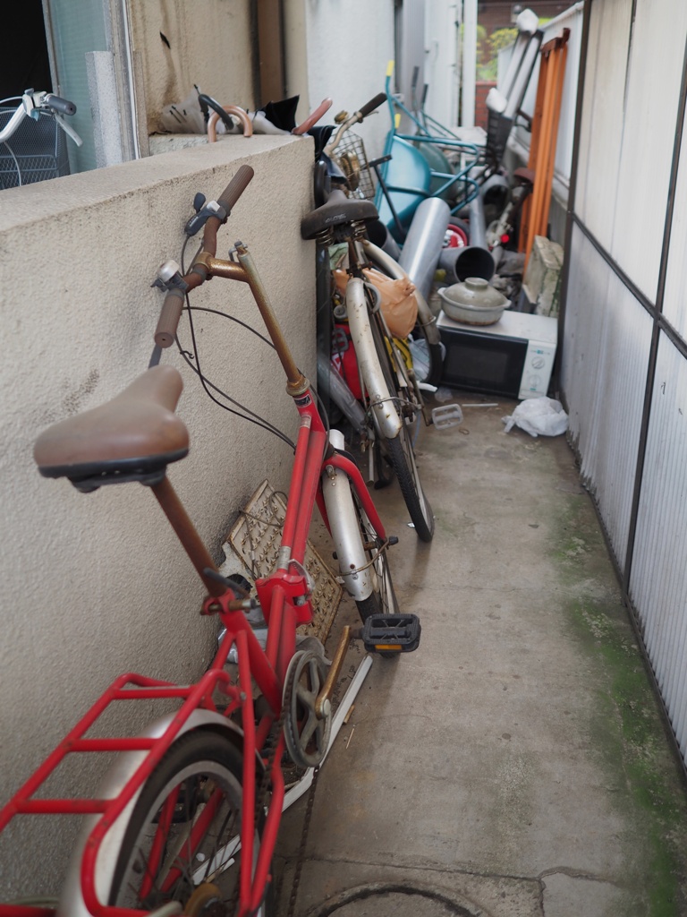 スナップ 3246