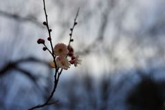 スナップ 1374 f2.8程度