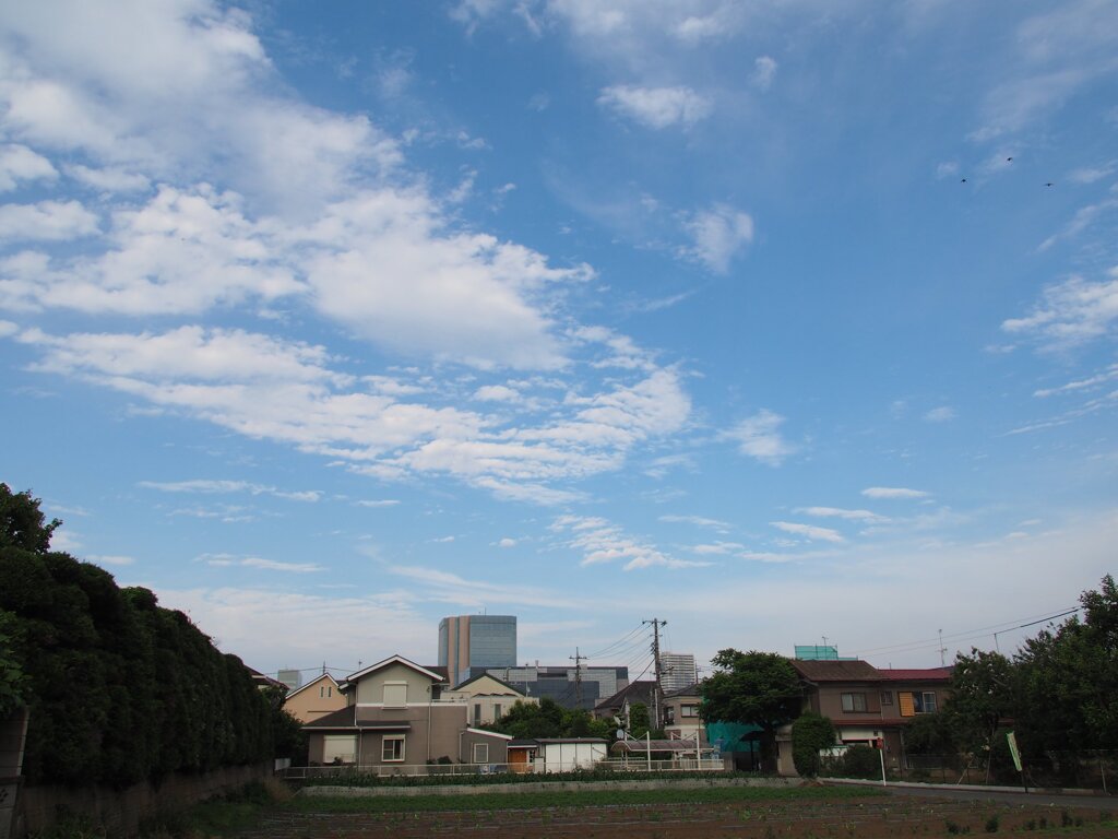 スナップ 2747