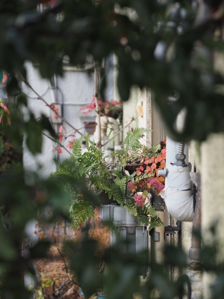 tam 14-150 sample 037