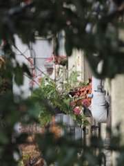 tam 14-150 sample 037