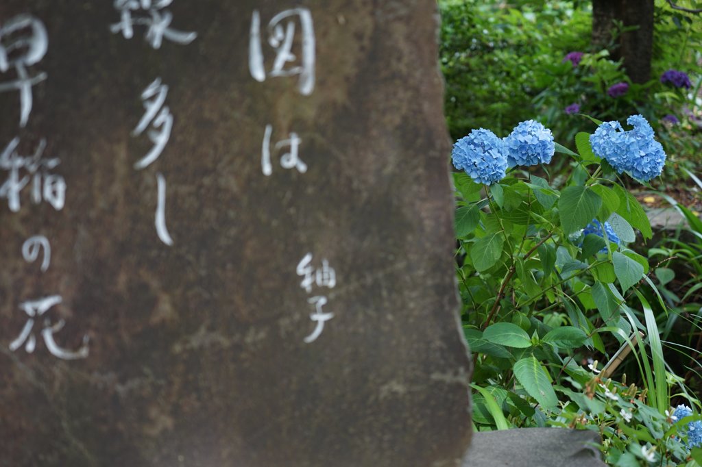 高幡不動尊金剛寺　6