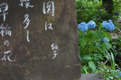 高幡不動尊金剛寺　6