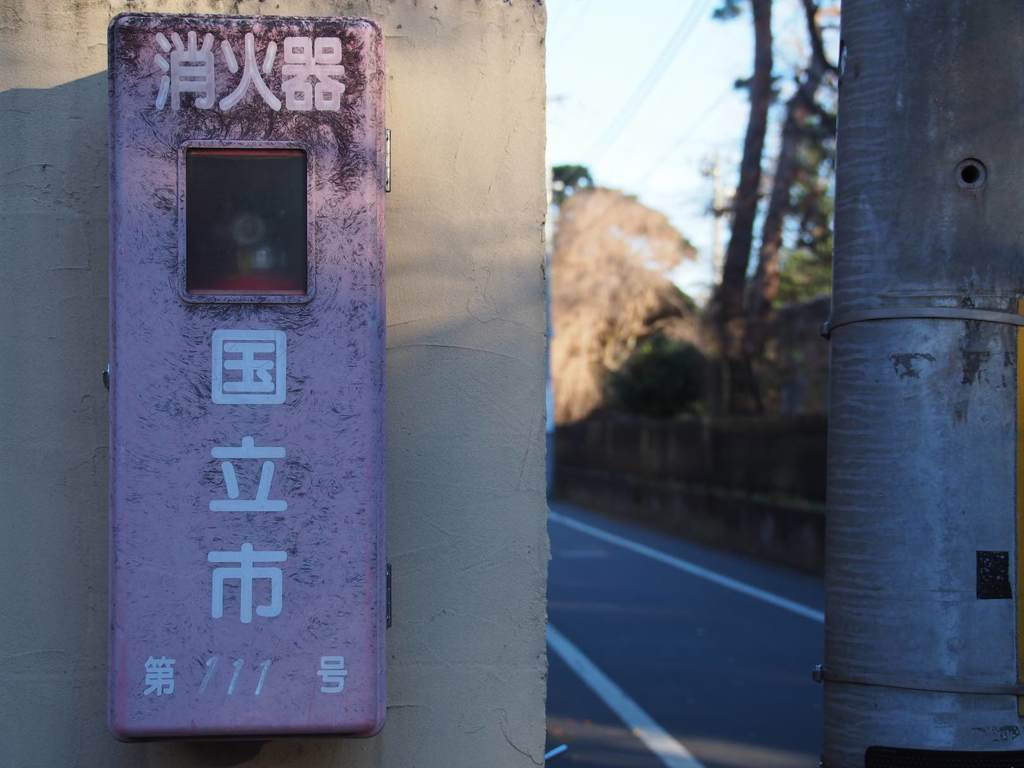 スナップ 695